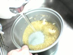 brown rice washing